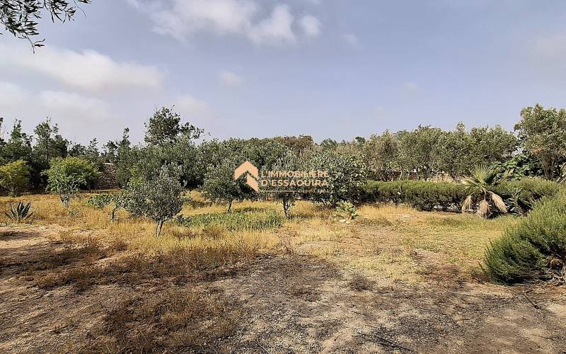 2 ch_Douar Laarab (30)